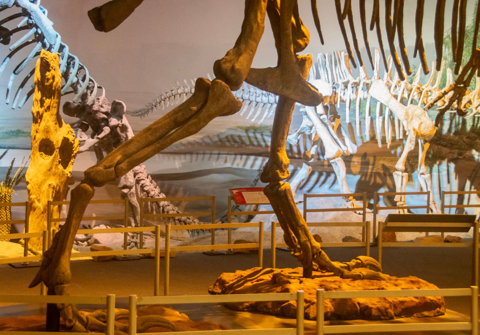 Wuhan Science and Technology Museum